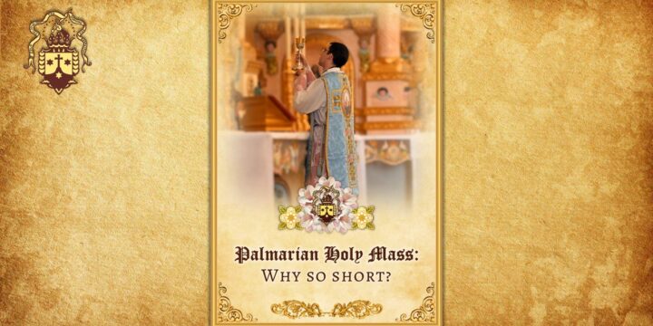 New Publication! Palmarian Holy Mass: Why so short?